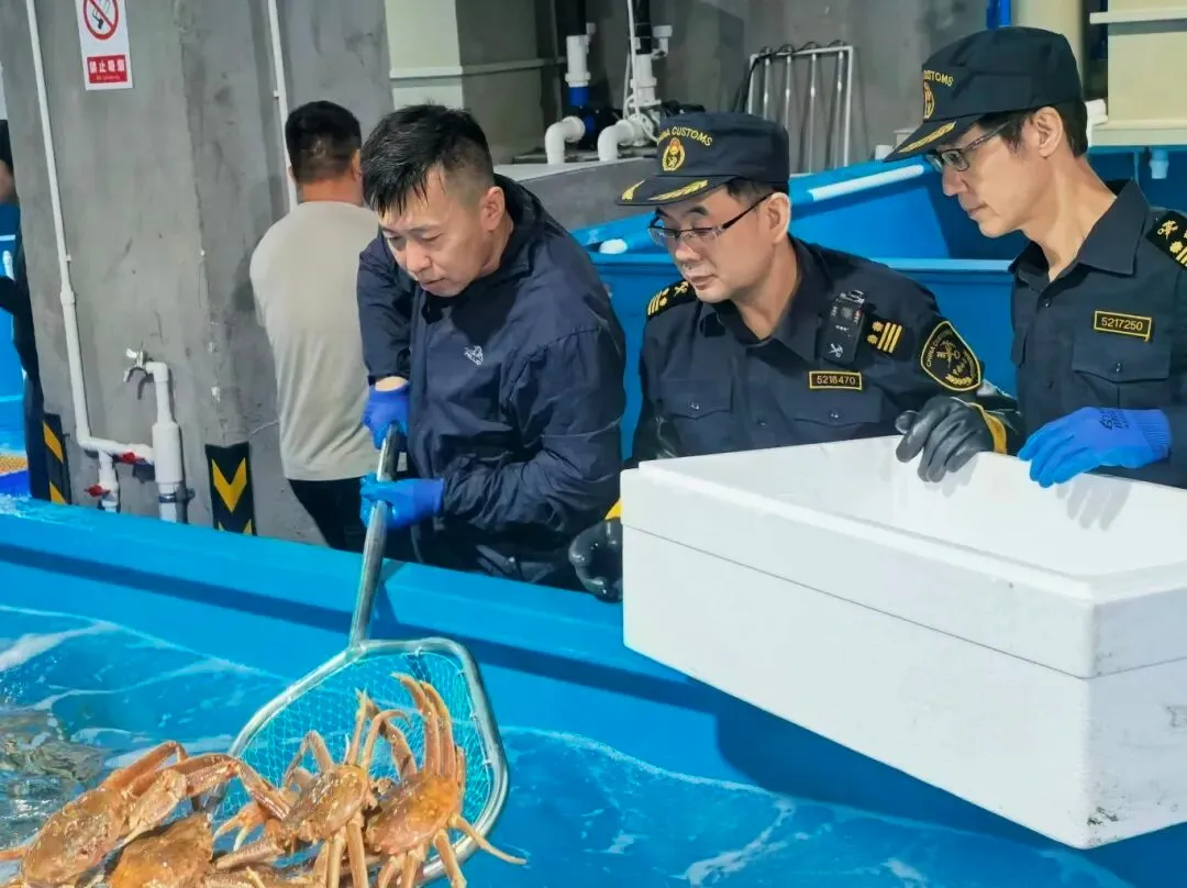 朗昇科技护航华南首票活雪蟹跨境保税转口出境